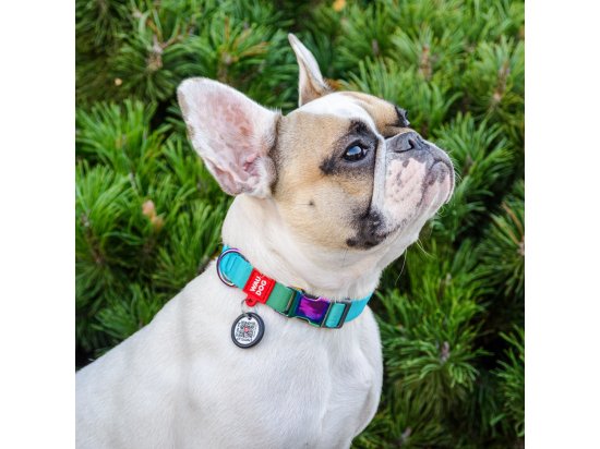Фото - амуніція Collar WAUDOG Nylon Recycled градієнт, нейлоновий нашийник для собак з QR паспортом, блакитний