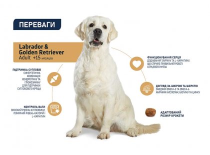 Фото - сухой корм Advance (Эдванс) Labrador Adult - Корм для взрослых лабрадоров c курицей 11,5 кг