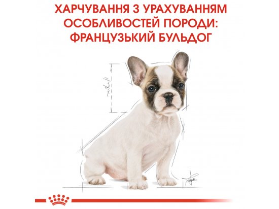 Фото - сухой корм Royal Canin FRENCH BULLDOG PUPPY (ФРАНЦУЗCКИЙ БУЛЬДОГ ПАППИ) корм для щенков до 12 месяцев