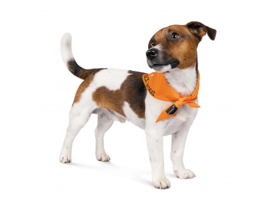 Фото - одяг Pet Fashion (Пет Фешин) CASPER бандана для собаки
