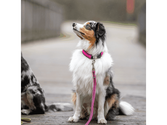 Фото - амуниция Sprenger прорезиненный поводок для собак без ручки НЕОНОВО РОЗОВЫЙ
