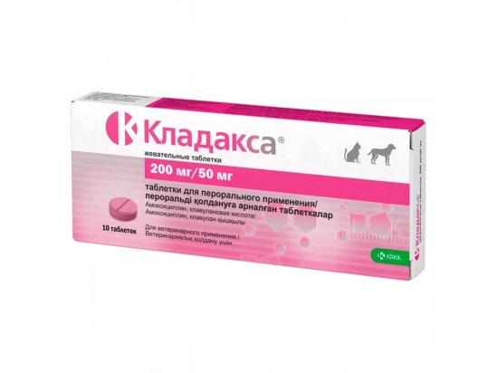 Фото - антибіотики Krka Cladaxxa (Кладакса) Антибактеріальний препарат для собак та кішок