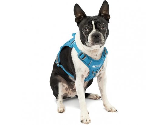 Фото - амуніція Kurgo County Harness шлея для собак, блакитний