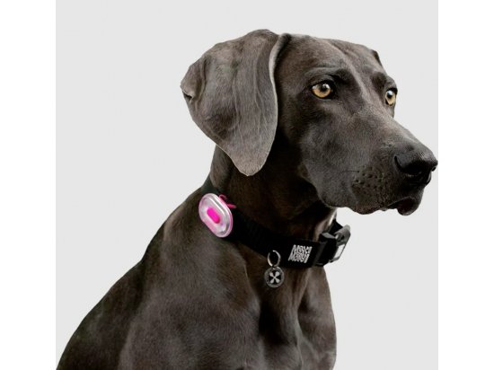 Фото - амуниция Max & Molly Urban Pets Matrix Ultra LED Safety Light Pink/Cube светодиодный фонарик на ошейник для собак, розовый