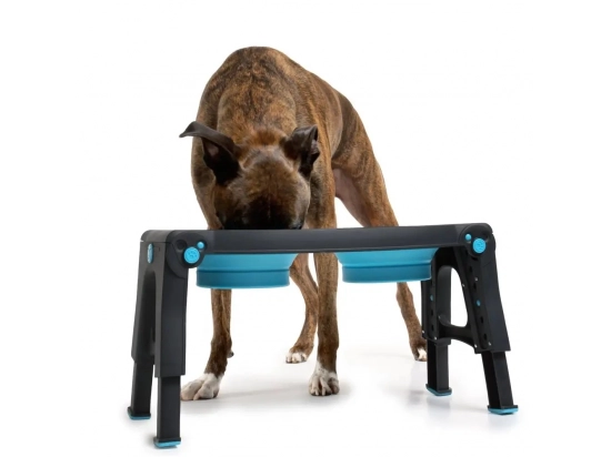 Фото - миски, напувалки, фонтани DEXAS Adjustable Height Pet Feeder - Миска подвійна на підставці з регульованими ніжками для собак, термопластик, яскраво-блакитний