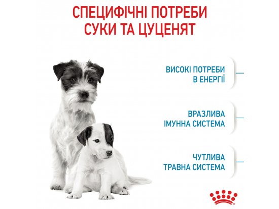 Фото - сухий корм Royal Canin MINI STARTER MOTHER & BABYDOG корм для вагітних та годуючих сук та цуценят міні-порід