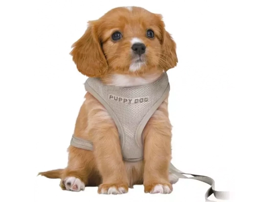 Фото - Категорії Trixie Junior Puppy Soft Harness with Lead шлейка з повідцем для цуценят, світло-сірий