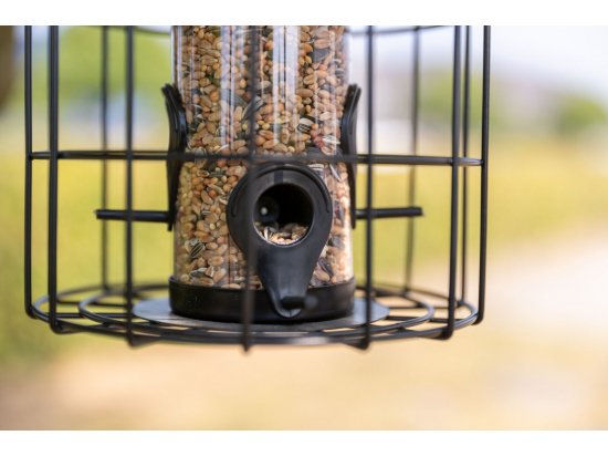 Фото - годівниці та напувалки Trixie Диспенсер для їжі із захисною кліткою для садових птахів (55426)