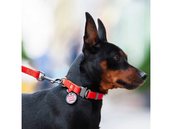 Фото - амуниция Collar WAUDOG WATERPROOF суперпрочный поводок для собак из водоотталкивающего материала, красный