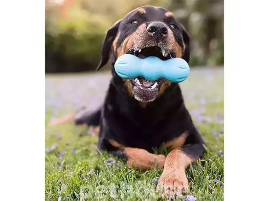 Фото - іграшки West Paw RUMPUS іграшка для собак середніх порід