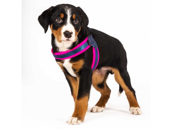 Фото - амуніція Max & Molly Urban Pets Q-Fit Harness шлея для собаки Matrix Pink