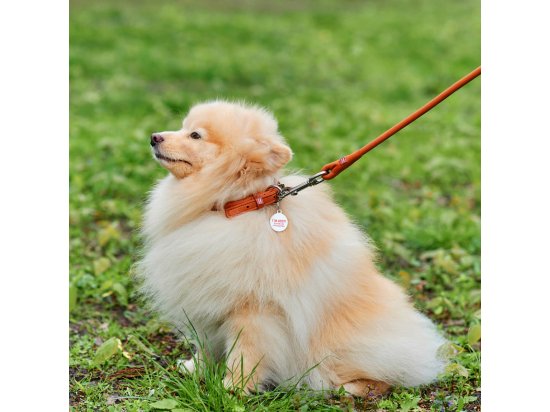 Фото - амуніція Collar SOFT Нашийник для собак довгошерстих порід круглий коричневий