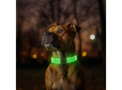 Фото - амуниция Collar WAUDOG Led ошейник для собак с подсветкой и магнитной застежкой