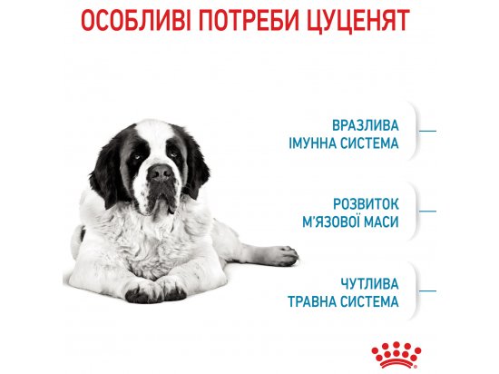 Фото - сухий корм Royal Canin GIANT JUNIOR (ЮНІОРИ ГІГАНТСЬКИХ ПОРОД) корм для цуценят від 8-24 місяців