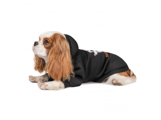Фото - одежда Pet Fashion (Пет Фешин) CASPER толстовка для собак