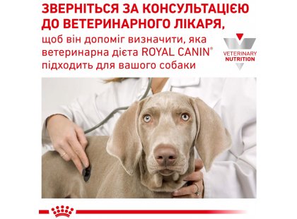 Фото - ветеринарні корми Royal Canin URINARY лікувальний вологий корм для собак при сечокам'яній хворобі