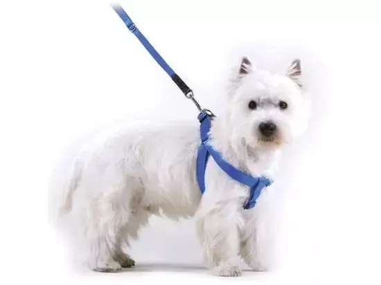 Фото - амуниция Collar Dog Extremе нейлоновая регулируемая шлея для собак, синий