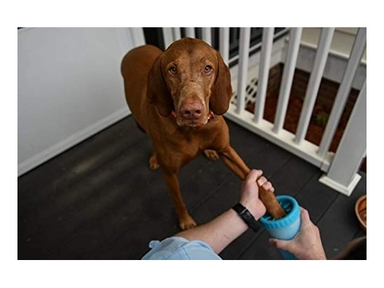 Фото - лапомийка Dexas (Дексас) MUDBUSTER силіконова лапомийка для собак, блакитний