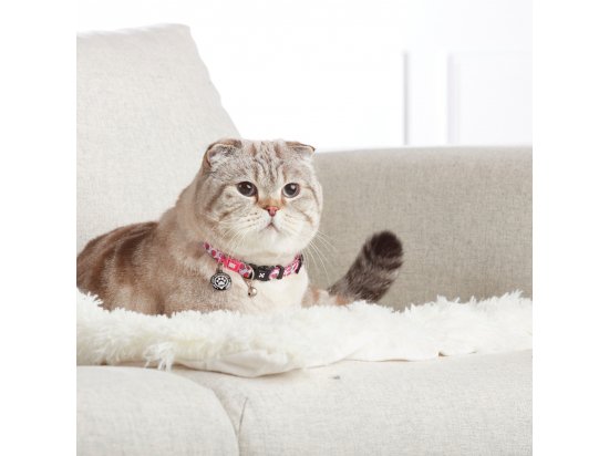 Фото - шлейки, ошейники Max & Molly Urban Pets Smart ID Cat Collar ошейник для кошек с QR-кодом Strawberry Dream
