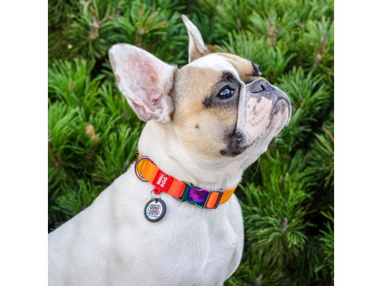 Фото - амуниция Collar WAUDOG Nylon Recycled градиент, ошейник нейлоновый для собак c QR паспортом, оранжевый