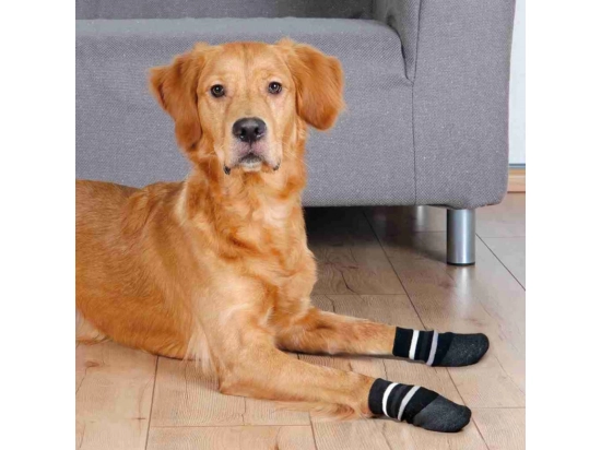 Фото - обувь Trixie Защитные носки для собак, чёрный
