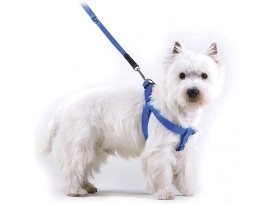 Фото - амуниция Collar Dog Extremе нейлоновая регулируемая шлея для собак,  красный
