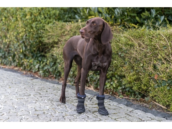 Фото - обувь Trixie Walker Active Long ботинки для собак, черный