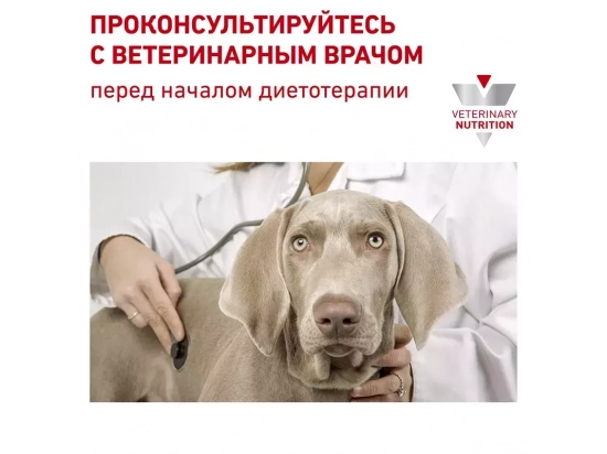 Фото - ветеринарные корма Royal Canin RENAL SMALL DOG корм для собак весом до 10 кг с хронической болезнью почек