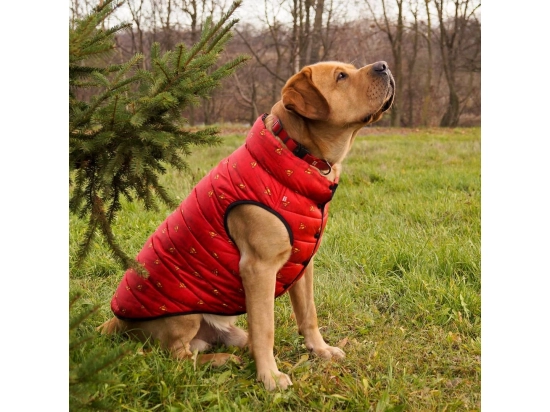 Фото - одяг Collar WAUDOG курточка для собак СУПЕРМЕН ЧЕРВОНИЙ