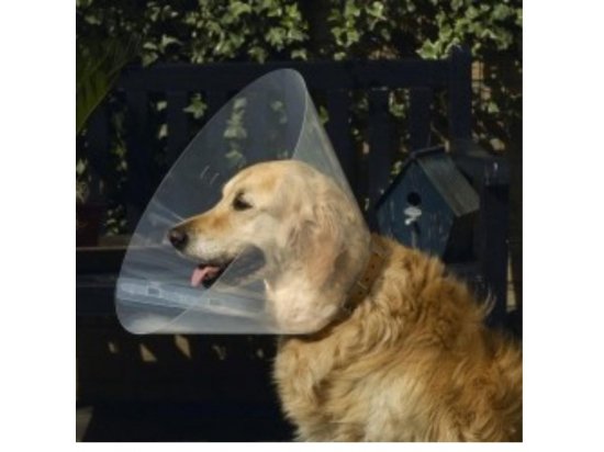 Collar Dog Extreme комір пластиковий для собак і кішок - 6 фото
