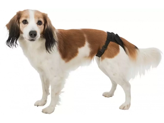 Фото - підгузки та трусики Trixie Захисні трусики для собак під час тічки