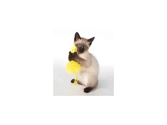 Фото - игрушки Trixie Цыпленок с Колокольчиком игрушка для кошек