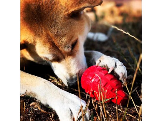 Фото - игрушки SodaPup (Сода Пап) Grenade игрушка для собак ГРАНАТА, красный