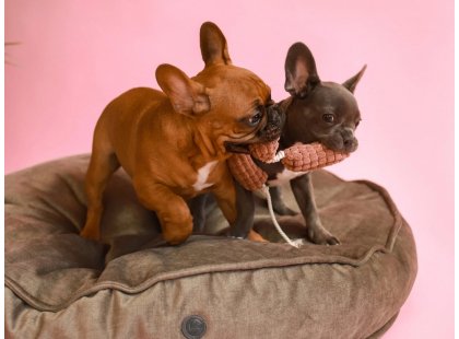 Фото - лежаки, матраси, килимки та будиночки Harley & Cho MEMORY FOAM ISLAND OLIVE ортопедична подушка для собак та кішок, оливковий