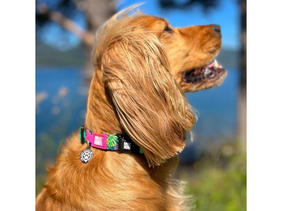Фото - амуніція Max & Molly Urban Pets Smart ID Collar нашийник для собак з QR-кодом Tropical