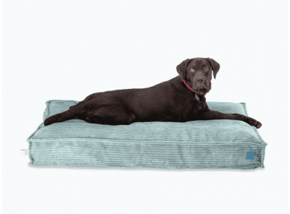 Фото - лежаки, матрасы, коврики и домики Harley & Cho MEMORY FOAM MINT ортопедическая подушка для собак, мятный