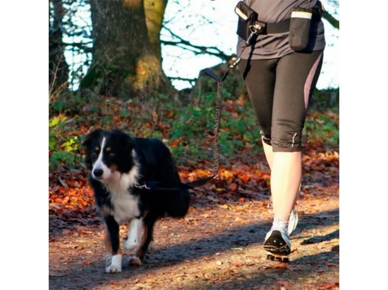 Фото - дресирування та спорт Trixie Комплект для бігу з собакою (1275)