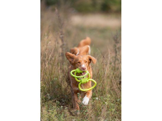 Фото - игрушки Trixie Aqua Toy плавающая игрушка для собак, кольца с узлами (33663)