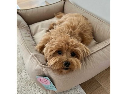 Фото - лежаки, матрасы, коврики и домики Harley & Cho DREAMER VELOUR BIEGE лежак для собак (велюр), бежевый