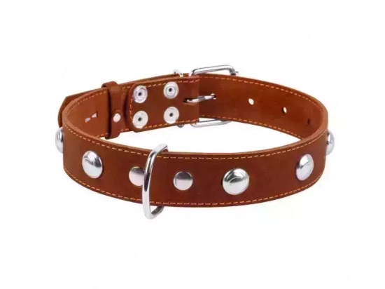 Фото - амуниция Collar (Коллар) - Кожаный ошейник для собак одинарный с металлическими украшениями, коричневый