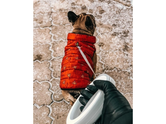 Фото - одяг Collar WAUDOG курточка для собак СУПЕРМЕН ЧЕРВОНИЙ