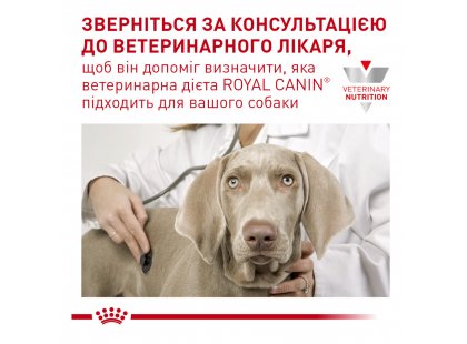 Фото - ветеринарні корми Royal Canin ANALLERGENIC SMALL DOG ​​сухий лікувальний корм для собак дрібних порід