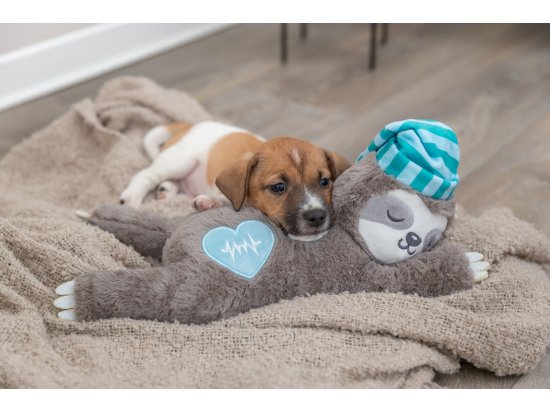 Фото - игрушки Trixie Junior игрушка для собак с имитацией сердцебиения, ЛЕНИВЕЦ (36166)