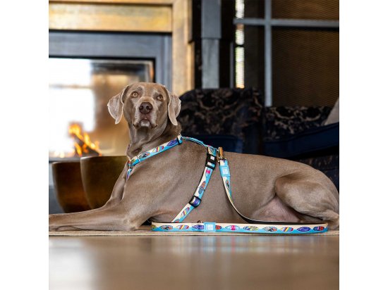 Фото - амуниция Max & Molly Urban Pets Multi-Function Leash многофункциональный поводок для собак Aloha