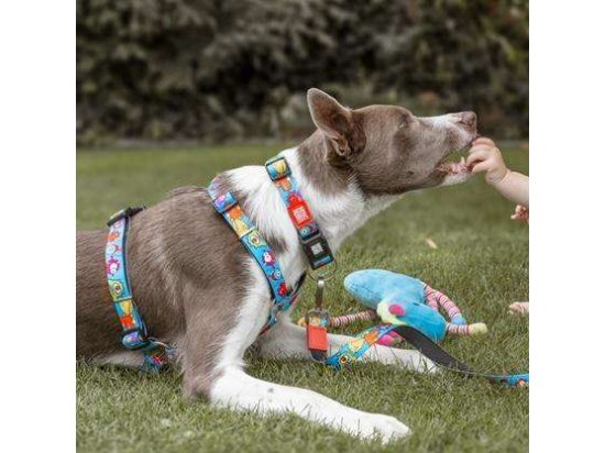 Фото - амуніція Max & Molly Urban Pets H-Harness шлея для собаки Little Monsters