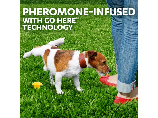 Фото - дрессировка и спорт Simple Solution Pee Post Pheromone - Пи Пост для приучения собак ходить в туалет в определенное место