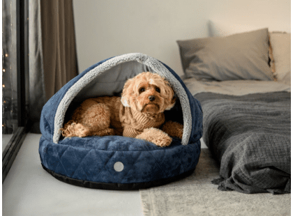 Фото - лежаки, матрасы, коврики и домики Harley & Cho COVER PLUSH ROYAL BLUE лежак с капюшоном для собак, синий
