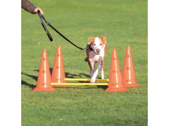 Фото - дресирування та спорт Trixie DOG ACTIVITY набір перешкод для собак