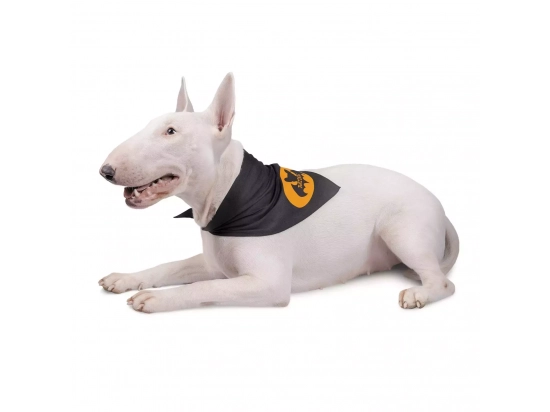 Фото - одежда Pet Fashion (Пет Фешин) BATDOG бандана для собак