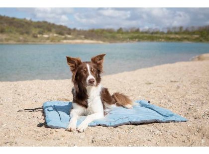Фото - лежаки, матраси, килимки та будиночки Trixie Samoa Classic похідна ковдра для собак, крижано-блакитний/сірий (28265)